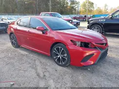 4T1B11HK4KU196050 2019 TOYOTA CAMRY