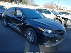 4T1B11HK4KU198722 2019 TOYOTA CAMRY