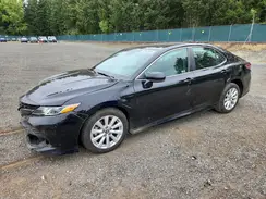 4T1B11HK4KU205281 2019 TOYOTA CAMRY