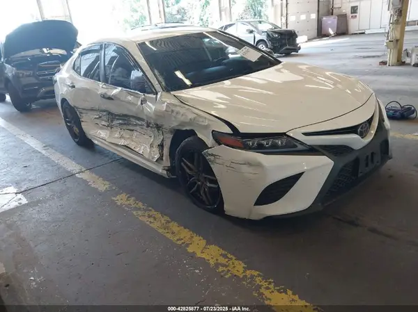 4T1B11HK4KU229371 2019 TOYOTA CAMRY - Image 1