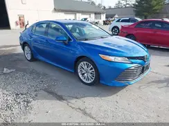 4T1B11HK4KU234683 2019 TOYOTA CAMRY