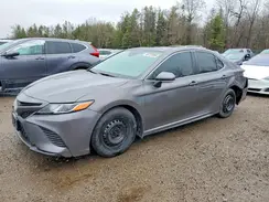 4T1B11HK4KU256067 2019 TOYOTA CAMRY