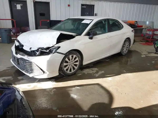 4T1B11HK4KU256604 2019 TOYOTA CAMRY - Image 2