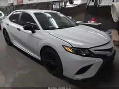 4T1B11HK4KU262869 2019 TOYOTA CAMRY