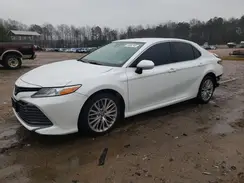 4T1B11HK4KU295130 2019 TOYOTA CAMRY