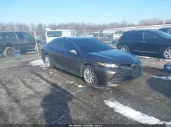 4T1B11HK4KU681045 2019 TOYOTA CAMRY