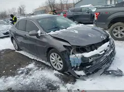 4T1B11HK4KU681398 2019 TOYOTA CAMRY