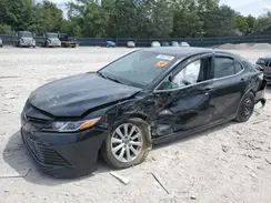 4T1B11HK4KU695558 2019 TOYOTA CAMRY