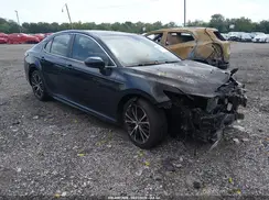 4T1B11HK4KU696967 2019 TOYOTA CAMRY