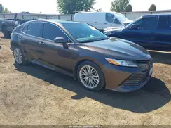 4T1B11HK4KU709569 2019 TOYOTA CAMRY
