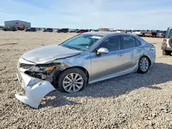 4T1B11HK4KU728557 2019 TOYOTA CAMRY