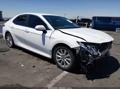 4T1B11HK4KU744354 2019 TOYOTA CAMRY