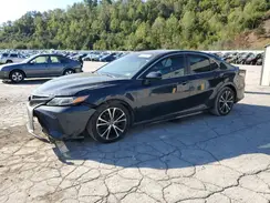 4T1B11HK4KU746377 2019 TOYOTA CAMRY