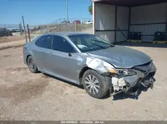 4T1B11HK4KU750753 2019 TOYOTA CAMRY