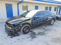 4T1B11HK4KU752129 2019 TOYOTA CAMRY