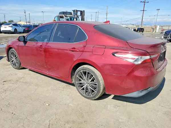4T1B11HK4KU755788 2019 TOYOTA CAMRY - Image 2
