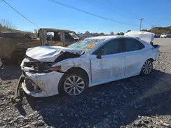4T1B11HK4KU759954 2019 TOYOTA CAMRY