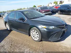 4T1B11HK4KU764264 2019 TOYOTA CAMRY