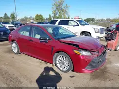 4T1B11HK4KU766404 2019 TOYOTA CAMRY