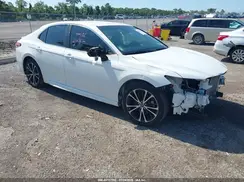 4T1B11HK4KU782781 2019 TOYOTA CAMRY