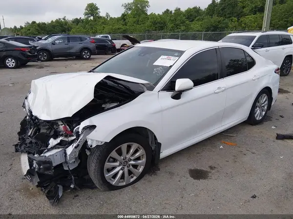 4T1B11HK4KU784661 2019 TOYOTA CAMRY - Image 2