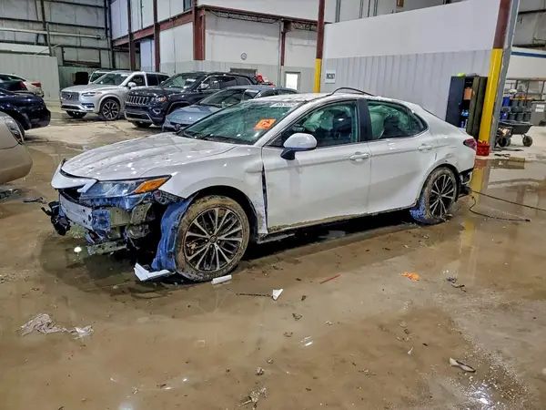 4T1B11HK4KU785096 2019 TOYOTA CAMRY - Image 1