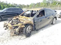 4T1B11HK4KU785910 2019 TOYOTA CAMRY