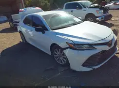4T1B11HK4KU788077 2019 TOYOTA CAMRY