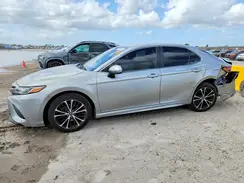 4T1B11HK4KU806223 2019 TOYOTA CAMRY