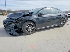 4T1B11HK4KU807095 2019 TOYOTA CAMRY