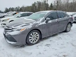 4T1B11HK4KU811986 2019 TOYOTA CAMRY