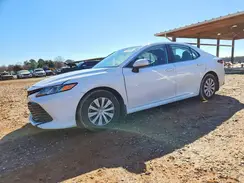 4T1B11HK4KU823622 2019 TOYOTA CAMRY