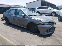 4T1B11HK4KU836404 2019 TOYOTA CAMRY