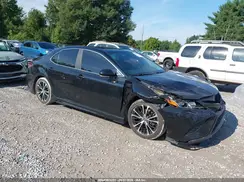 4T1B11HK4KU842039 2019 TOYOTA CAMRY