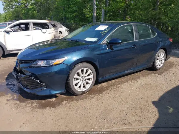 4T1B11HK4KU843756 2019 TOYOTA CAMRY - Image 2