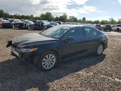 4T1B11HK4KU847516 2019 TOYOTA CAMRY