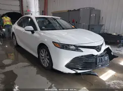 4T1B11HK4KU853137 2019 TOYOTA CAMRY