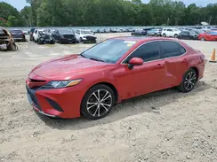 4T1B11HK5KU161453 2019 TOYOTA CAMRY