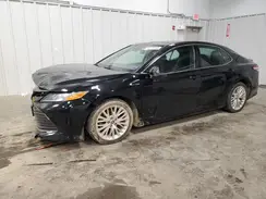 4T1B11HK5KU169553 2019 TOYOTA CAMRY