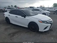 4T1B11HK5KU197496 2019 TOYOTA CAMRY