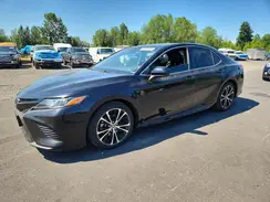 4T1B11HK5KU202325 2019 TOYOTA CAMRY