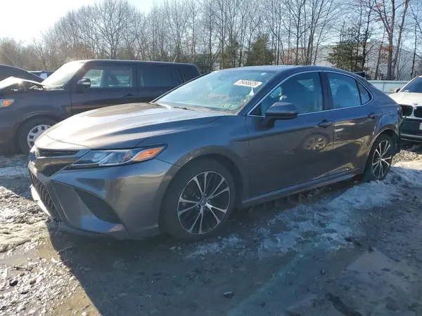 4T1B11HK5KU202843 2019 TOYOTA CAMRY - Image 1