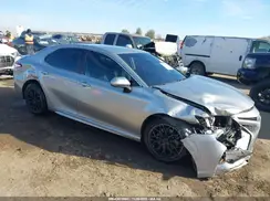 4T1B11HK5KU207055 2019 TOYOTA CAMRY