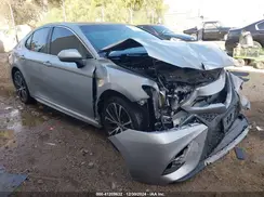 4T1B11HK5KU219299 2019 TOYOTA CAMRY