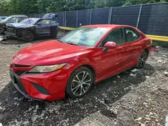 4T1B11HK5KU230691 2019 TOYOTA CAMRY