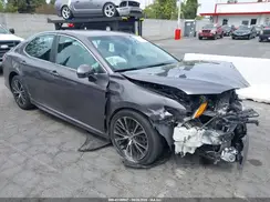 4T1B11HK5KU231100 2019 TOYOTA CAMRY