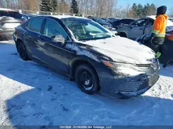 4T1B11HK5KU237978 2019 TOYOTA CAMRY