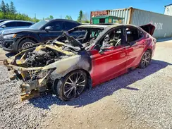 4T1B11HK5KU239911 2019 TOYOTA CAMRY