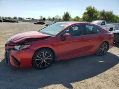 4T1B11HK5KU242145 2019 TOYOTA CAMRY