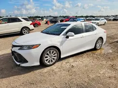 4T1B11HK5KU243019 2019 TOYOTA CAMRY